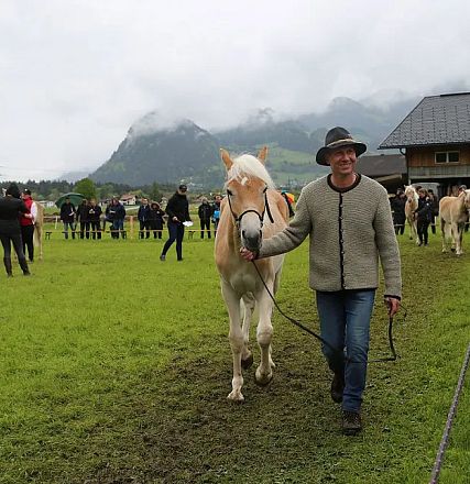Jubiläumsausstellung 70 Jahre Haflinger Pferdezuchtverein mittleres Unterinnal _Foto Sarah Brunner