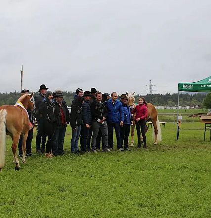 Jubiläumsausstellung 70 Jahre Haflinger Pferdezuchtverein mittleres Unterinnal _Foto Sarah Brunner