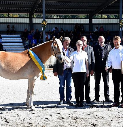 20539/NL Elitestutenschau 2019 Fotograf Rainer Nutz