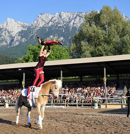 Haflinger Weltausstellung 2015_Fotograf Christian Kapfinger (5)