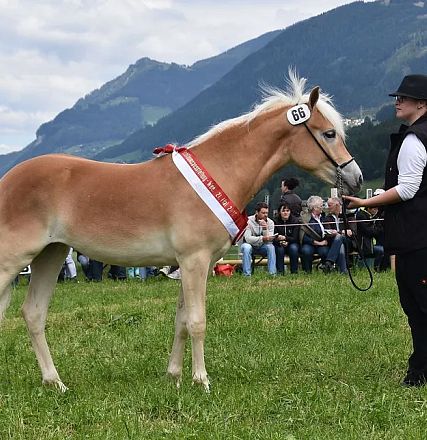 Hayla / Fotograf Rainer Nutz