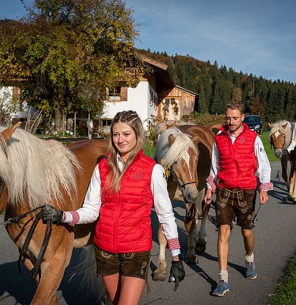 hengstalmabtrieb-2024-anita-baumgartner-042