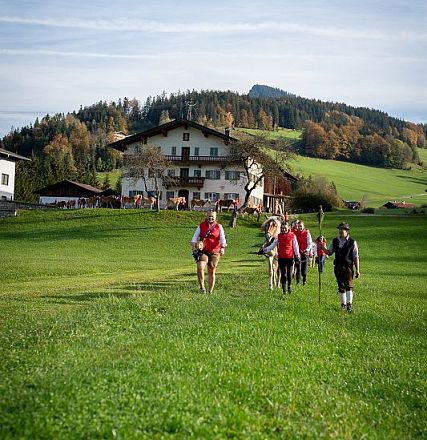 hengstalmabtrieb-2024-anita-baumgartner-046