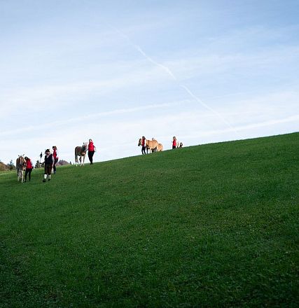 hengstalmabtrieb-2024-anita-baumgartner-048