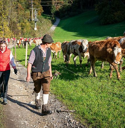 hengstalmabtrieb-2024-anita-baumgartner-056