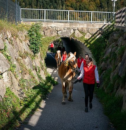 hengstalmabtrieb-2024-anita-baumgartner-091