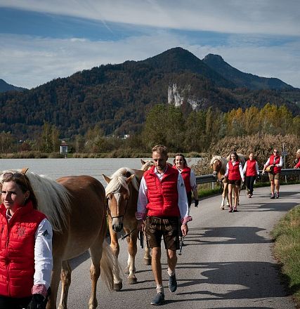hengstalmabtrieb-2024-anita-baumgartner-093
