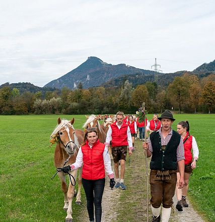 hengstalmabtrieb-2024-anita-baumgartner-096-1