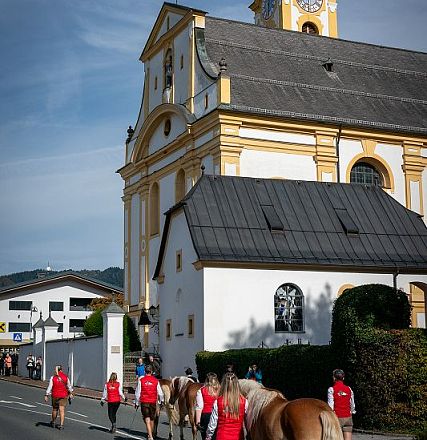 hengstalmabtrieb-2024-anita-baumgartner-097