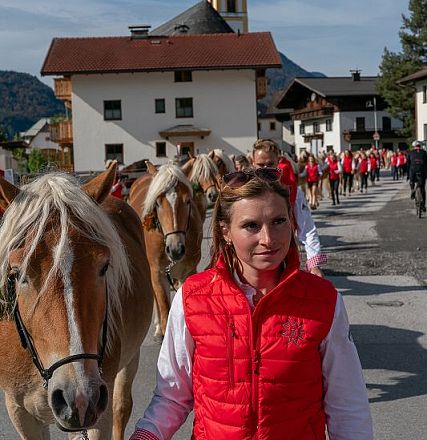 hengstalmabtrieb-2024-anita-baumgartner-100