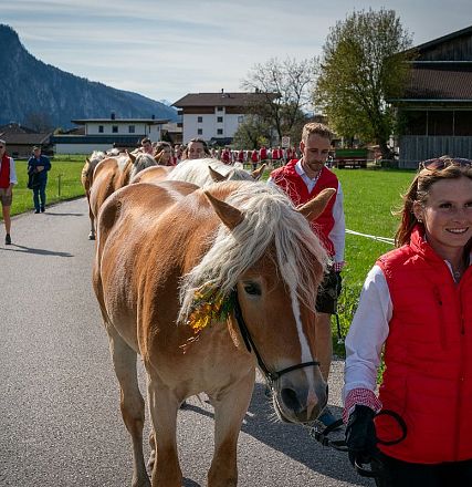 hengstalmabtrieb-2024-anita-baumgartner-102