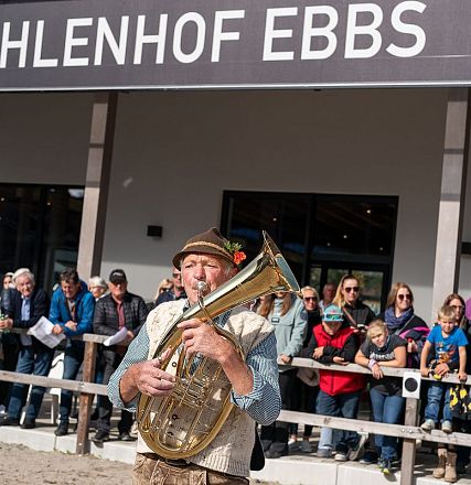 hengstalmabtrieb-2024-anita-baumgartner-105