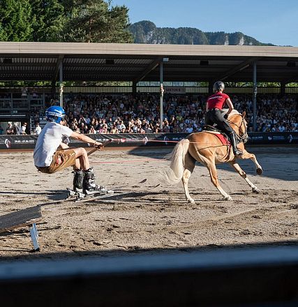 hwa-30-05-25-haflinger-show-039-3
