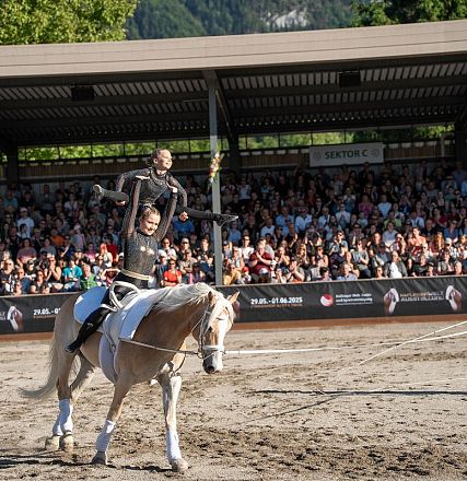 hwa-30-05-25-haflinger-show-069-1