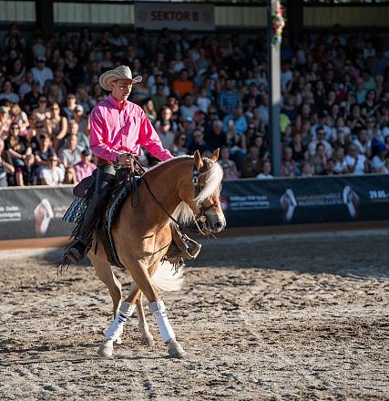 hwa-30-05-25-haflinger-show-099-1