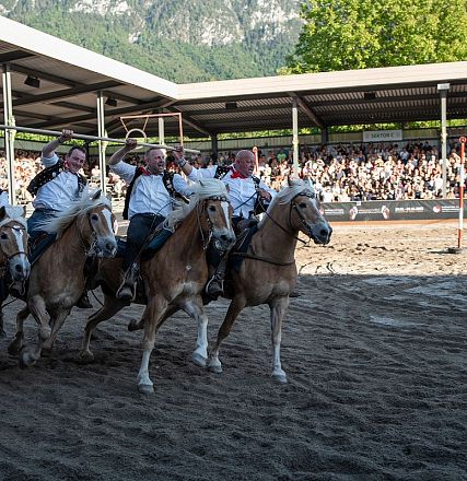 hwa-30-05-25-haflinger-show-140-2