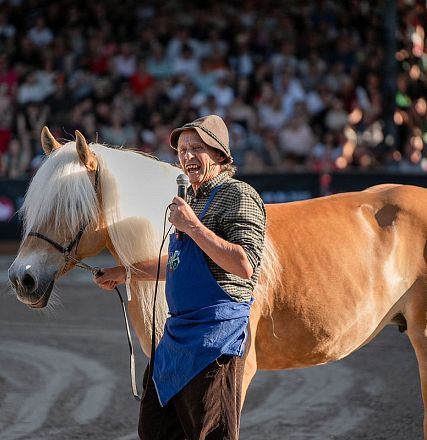 hwa-31-05-25-haflinger-show-38