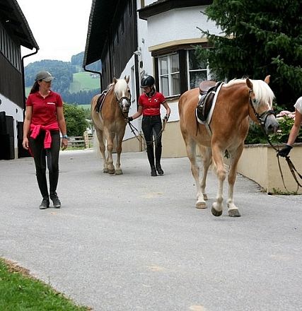 img-00421