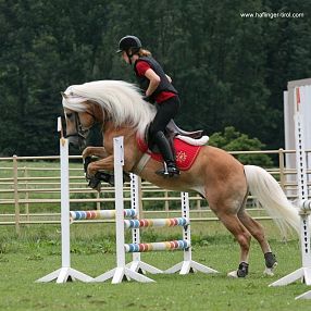 img-0360-1024x935