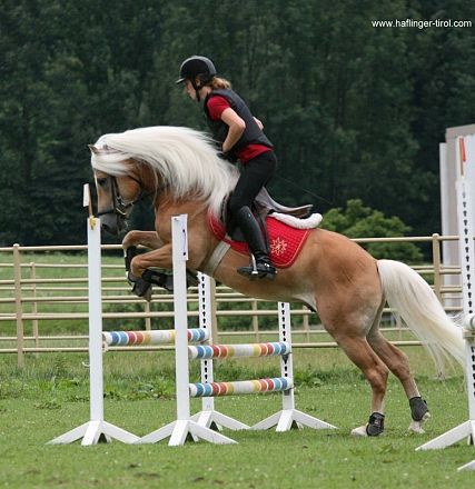 img-0360-1024x935