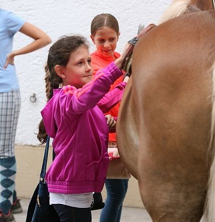 img-0837