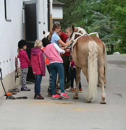 img-0841