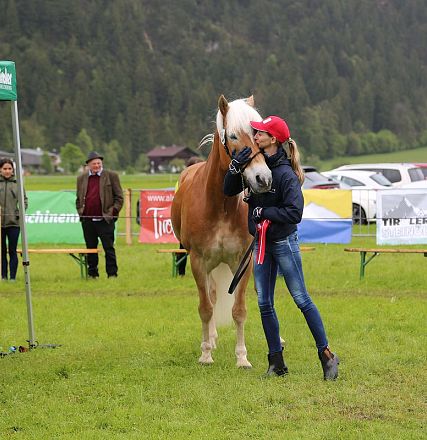 Jubiläumsausstellung 70 Jahre Haflinger Pferdezuchtverein mittleres Unterinnal _Foto Sarah Brunner