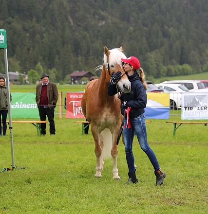 Jubiläumsausstellung 70 Jahre Haflinger Pferdezuchtverein mittleres Unterinnal _Foto Sarah Brunner