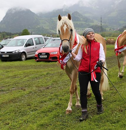 Jubiläumsausstellung 70 Jahre Haflinger Pferdezuchtverein mittleres Unterinnal _Foto Sarah Brunner