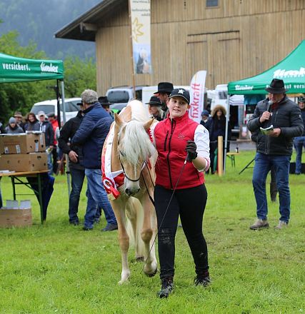Jubiläumsausstellung 70 Jahre Haflinger Pferdezuchtverein mittleres Unterinnal _Foto Sarah Brunner