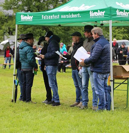 Jubiläumsausstellung 70 Jahre Haflinger Pferdezuchtverein mittleres Unterinnal _Foto Sarah Brunner