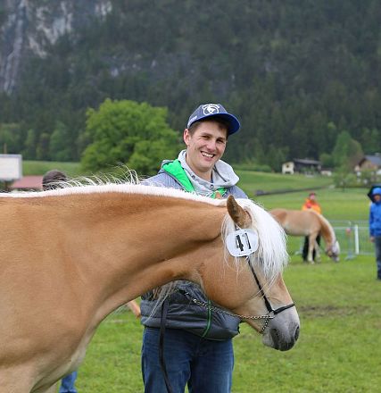 Jubiläumsausstellung 70 Jahre Haflinger Pferdezuchtverein mittleres Unterinnal _Foto Sarah Brunner