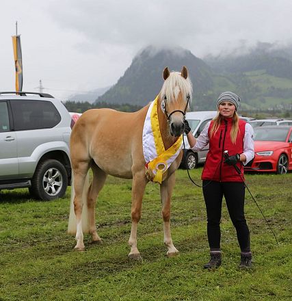 Jubiläumsausstellung 70 Jahre Haflinger Pferdezuchtverein mittleres Unterinnal _Foto Sarah Brunner