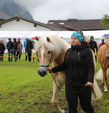 Jubiläumsausstellung 70 Jahre Haflinger Pferdezuchtverein mittleres Unterinnal _Foto Sarah Brunner