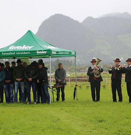 Jubiläumsausstellung 70 Jahre Haflinger Pferdezuchtverein mittleres Unterinnal _Foto Sarah Brunner