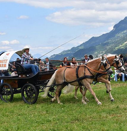 Jubiläumsausstellung 90 Jahre HZV Weer - Fotograf Tanja Mayr