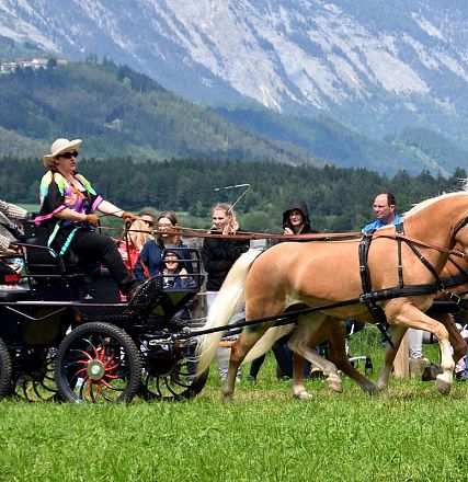 Jubiläumsausstellung 90 Jahre HZV Weer - Fotograf Tanja Mayr