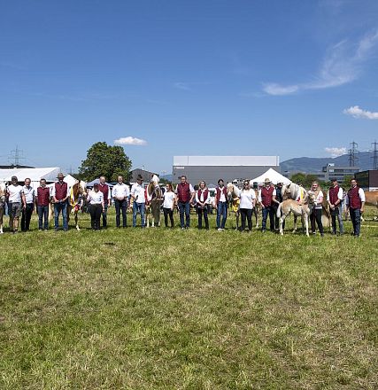 Landesausstellung Haflinger Pferdezuchtverein Vorarlberg 2022