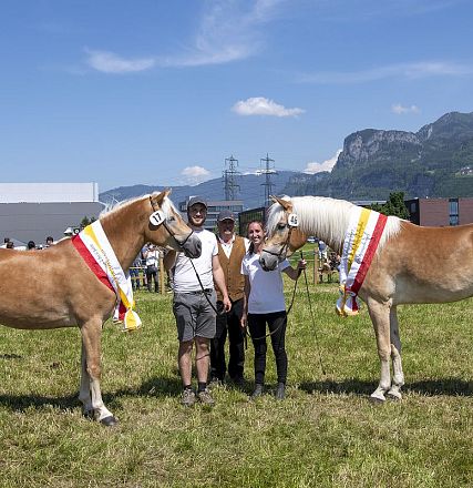 Landesausstellung Haflinger Pferdezuchtverein Vorarlberg 2022