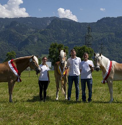 Landesausstellung Haflinger Pferdezuchtverein Vorarlberg 2022