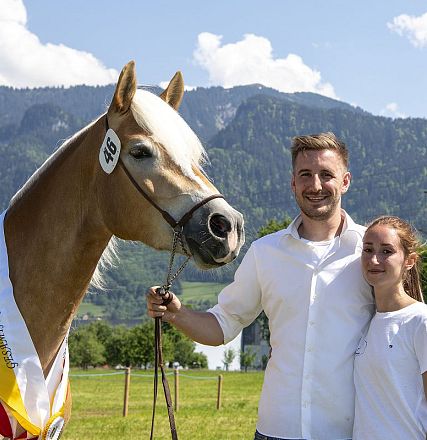 Landesausstellung Haflinger Pferdezuchtverein Vorarlberg 2022