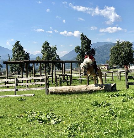 Leistungsprüfung der Tiroler Haflinger Hengste Fohlenhof Ebbs 2018