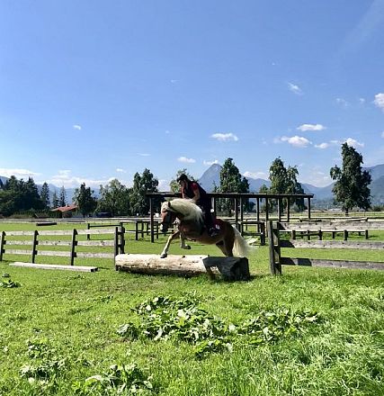 Leistungsprüfung der Tiroler Haflinger Hengste Fohlenhof Ebbs 2018
