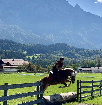 Leistungsprüfung der Tiroler Haflinger Hengste Fohlenhof Ebbs 2018