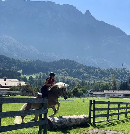 Leistungsprüfung der Tiroler Haflinger Hengste Fohlenhof Ebbs 2018