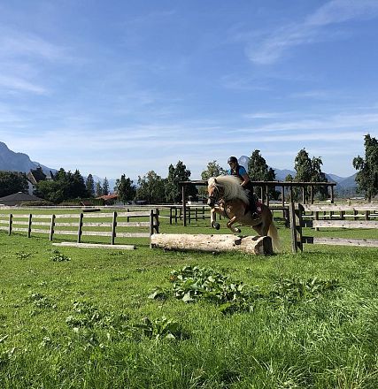 Leistungsprüfung der Tiroler Haflinger Hengste Fohlenhof Ebbs 2018