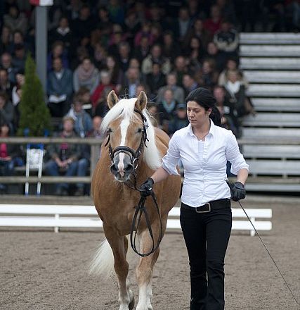 liz-201t-standschuetz-3-1