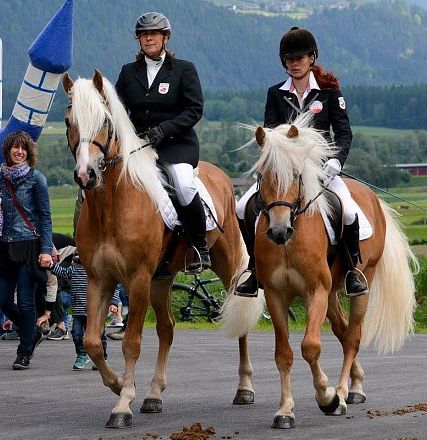 Liz. 472 T STernwächter Tiroler Haflinger Hengst