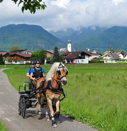 Marathon Bundes Mannschaftsmeisterschaft Reiten und Fahren 2016 - Fotograf Christian Kapfinger