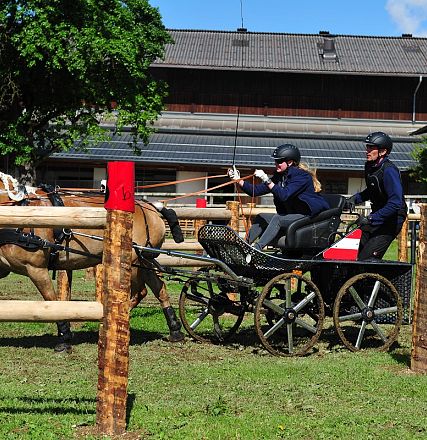Marathon Bundes Mannschaftsmeisterschaft Reiten und Fahren 2016 - Fotograf Christian Kapfinger